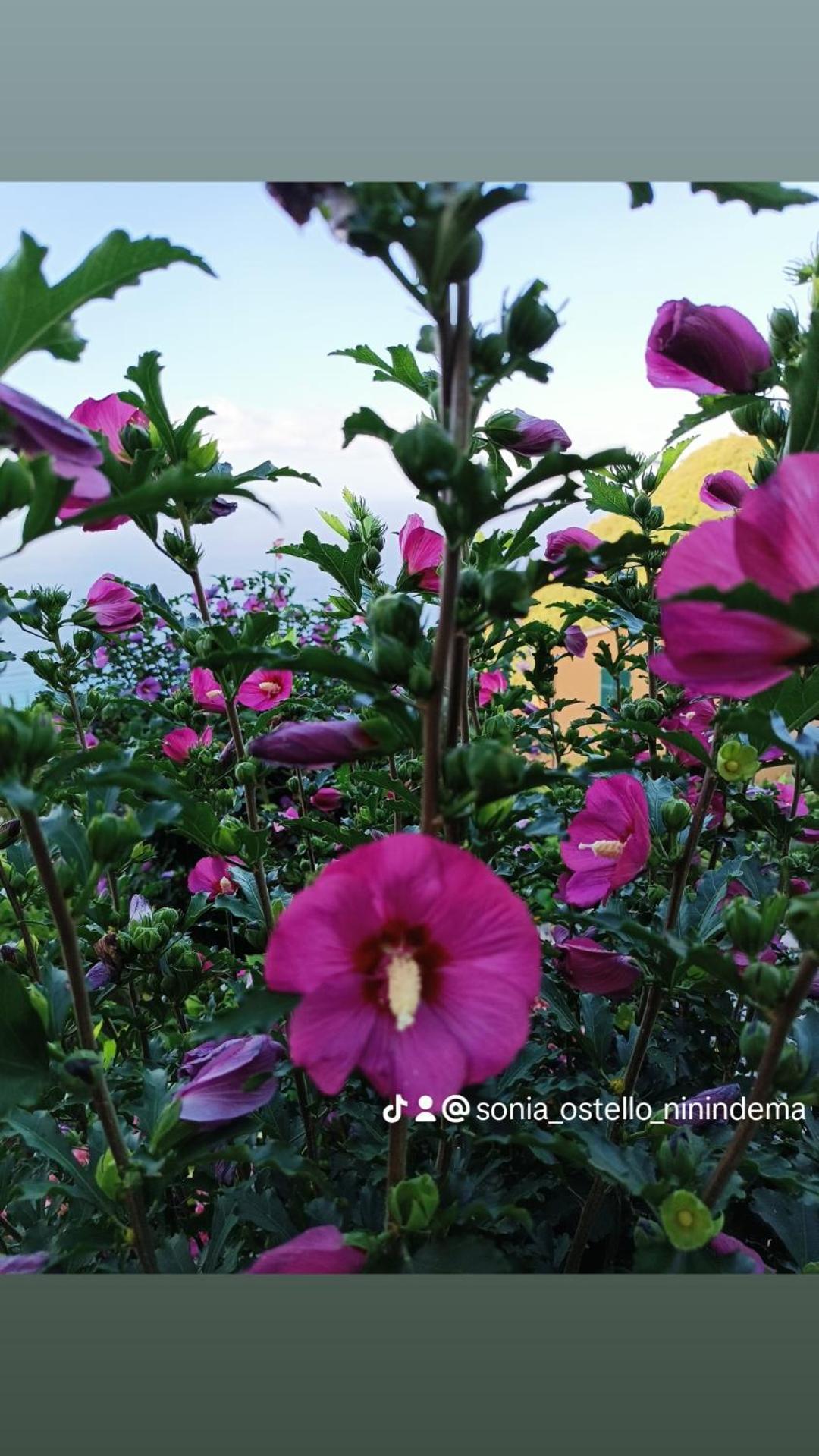 Ostello Ninin De Ma' 弗拉穆拉 外观 照片
